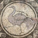 BAS A nave detS DDuboislow