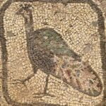 BYL A narthex det 1 DDuboislow