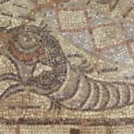 BYL B exo S DDuboislow