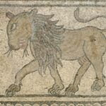 BYL D nave lion DDuboislow