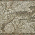 BYL E nave MPRaynaudlow